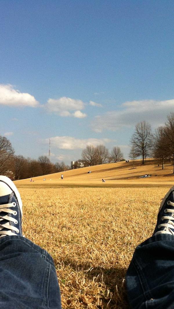 Insight 1: New Feature Update